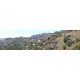 Griffith Park met Mt Lee en Hollywood sign - panorama print