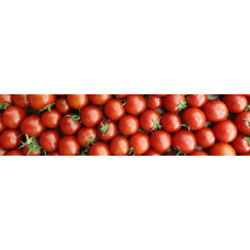 Tomaten - wandposter