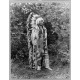 Chief Umapine - Cayuse - ca. 1913