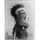 Jonge Cheyenne krijger - 1907
