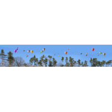 heteluchtballonnen - panoramische fotoprint