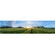 Landbouwgrond - panoramische fotoprint