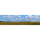 Landschap N - wolken boven korenveld - panorama print