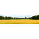 Landschap BM - panoramische fotoprint - Nederland