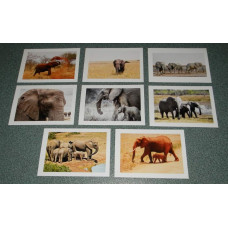 8 Olifanten kaarten - set A