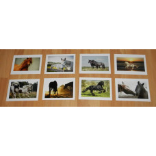 8 Paarden kaarten - set A