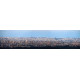 Skyline4 - panoramische fotoprint