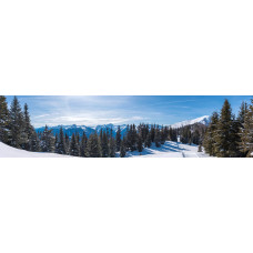 Sneeuwlandschap 1 - panoramische fotoprint