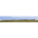 Steenschip Zweden - panoramische fotoprint