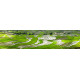 Terrassen landbouw 1 - panoramische fotoprint