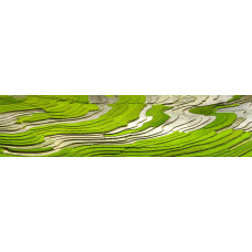 Terrassen landbouw 2 - panoramische fotoprint