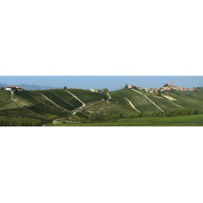 Wijnberg - panoramische fotoprint
