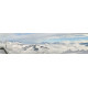 Winterlandschap 13 - panoramische fotoprint