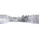 Winterlandschap 3 - panoramische fotoprint