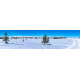 Winterlandschap 7 - panoramische fotoprint