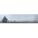 Winterlandschap 9 - panoramische fotoprint