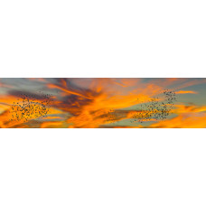 Zonsondergang 21 - panoramische fotoprint