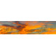 Zonsondergang 21 - panoramische fotoprint