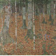 Berkenbos - Gustav Klimt -1903