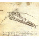 Vliegtuig ontwerp - Leonardo Da Vinci