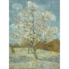 De roze perzikboom - Van Gogh - 1888