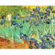Irissen - Van Gogh - 1889