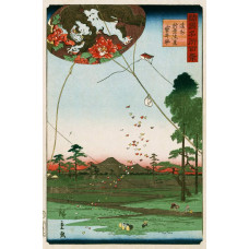 Vergezicht van Akiba van Enshu - Hiroshige - 1859