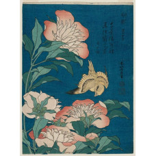 Pioenrozen en kanarie - Hokusai - 1834
