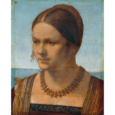 Jonge Venetiaanse - Albrecht Dürer - 1506