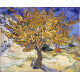 Moerbeiboom - Van Gogh - 1889