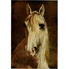 Paard - Otto Eerelman - 1907