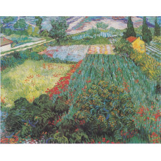 Papaverveld - Van Gogh - juni 1889