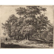 Reiziger bij een bos - Anthonie Waterloo - ca. 1645
