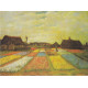 Tulpenvelden - Van Gogh - 1883