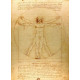 Vitruvius Man - Leonardo Da Vinci