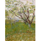 Bloeiende boomgaard - Vincent van Gogh - 1888