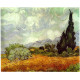 Korenveld met cypressen - Vincent van Gogh - 1888
