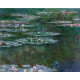 Waterlelies - Monet - 1904