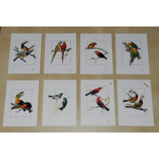 8 Varig vogel kaarten