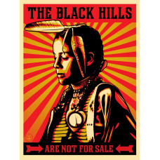 The Black Hills are not for sale - poster