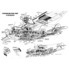 Consolidated PBY Catalina - opengewerkte tekening